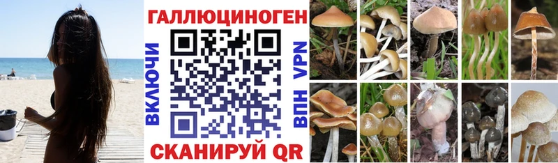 Псилоцибиновые грибы мухоморы  mega вход  Уссурийск 